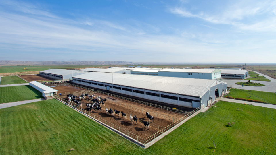 Livestock Cooling Systems and Solutions